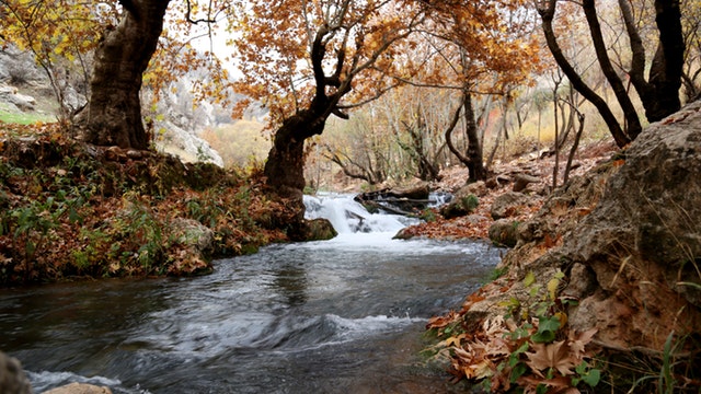 creek in fall